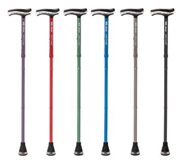 Cane_Group
