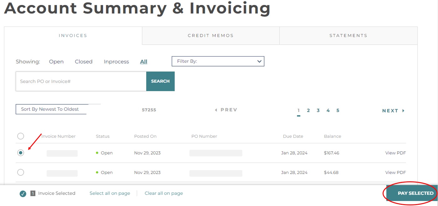 How can I access and pay invoices_2