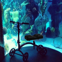 marty-aquarium-2