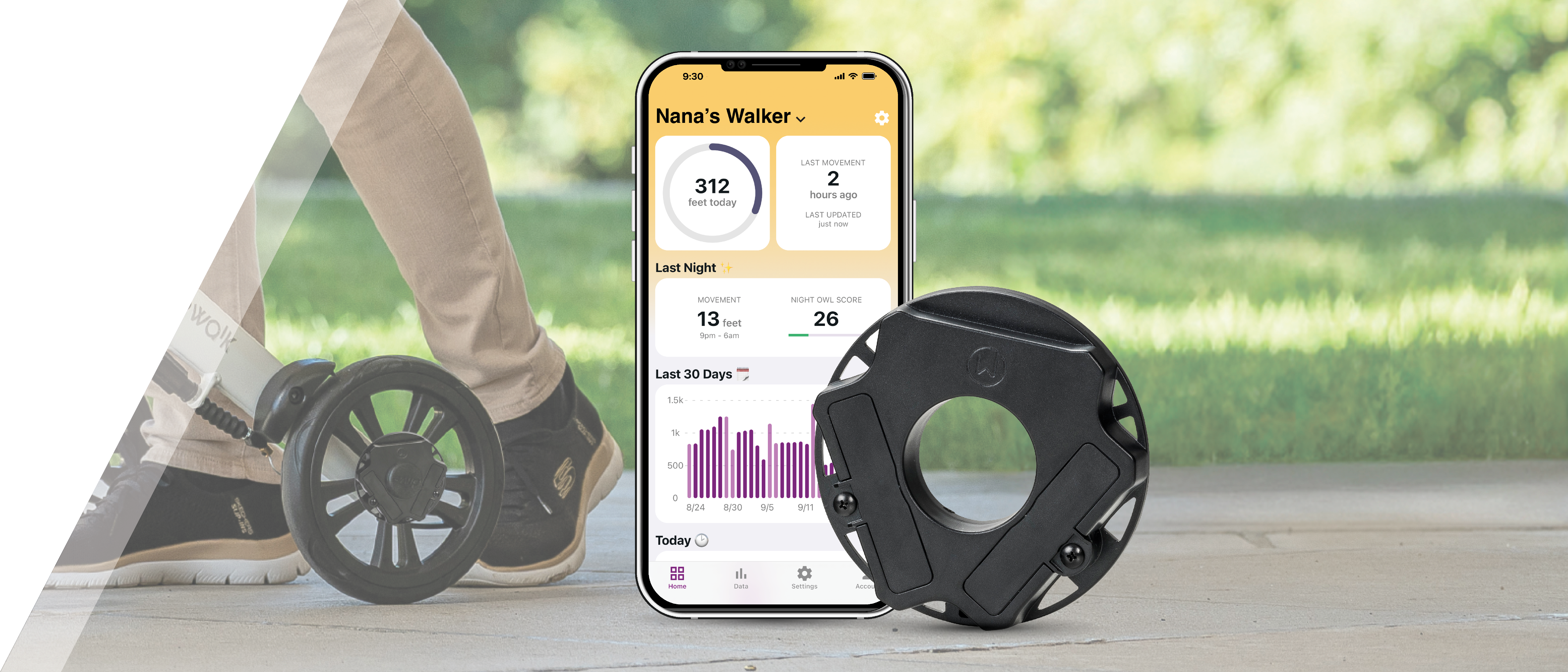 Walkwise_Header-2